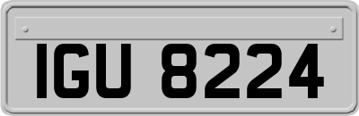 IGU8224