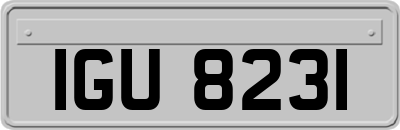 IGU8231