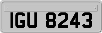 IGU8243
