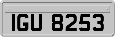 IGU8253
