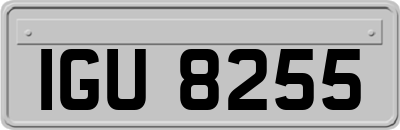 IGU8255