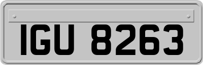 IGU8263