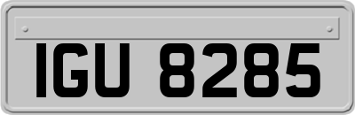 IGU8285