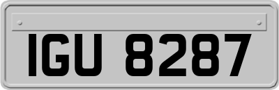 IGU8287