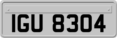IGU8304