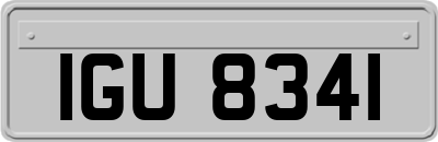 IGU8341