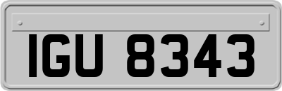 IGU8343