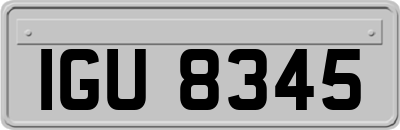 IGU8345