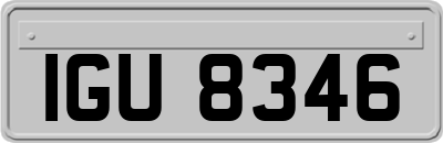 IGU8346