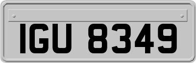 IGU8349