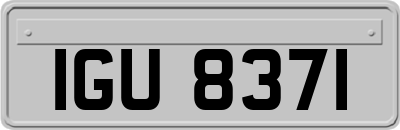 IGU8371