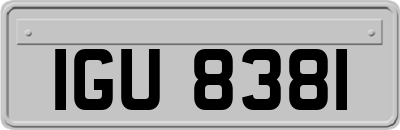 IGU8381
