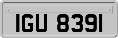 IGU8391