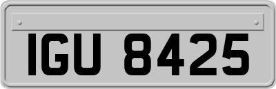 IGU8425