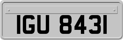 IGU8431