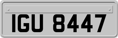 IGU8447