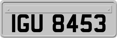 IGU8453