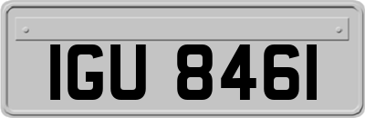 IGU8461