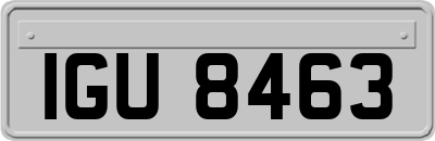 IGU8463