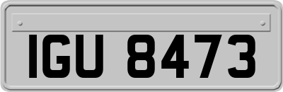 IGU8473