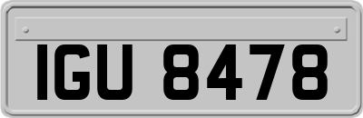 IGU8478