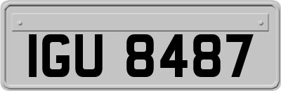 IGU8487