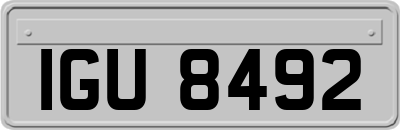 IGU8492