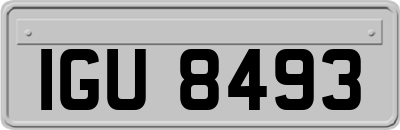 IGU8493