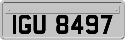 IGU8497