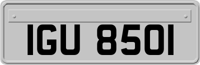 IGU8501