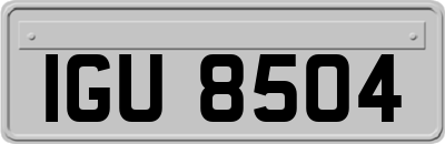 IGU8504