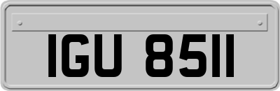 IGU8511