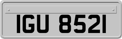 IGU8521