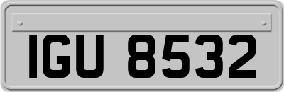 IGU8532