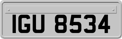 IGU8534