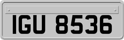 IGU8536