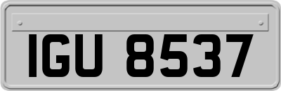 IGU8537