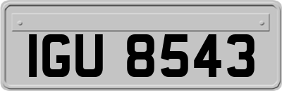 IGU8543