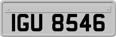 IGU8546