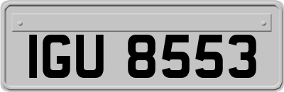 IGU8553