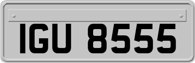 IGU8555