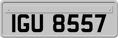 IGU8557