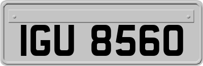 IGU8560
