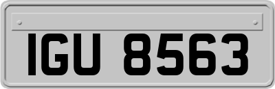 IGU8563