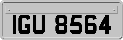 IGU8564
