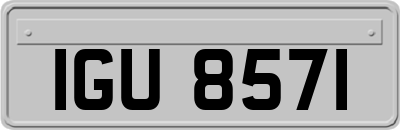 IGU8571
