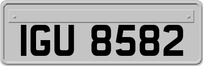 IGU8582