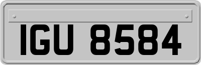 IGU8584