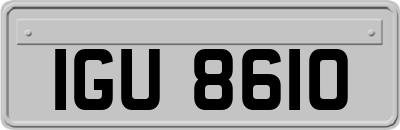 IGU8610