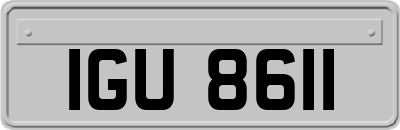 IGU8611
